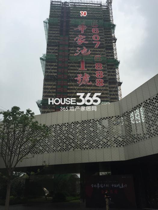 绿地华家池1号项目7号楼施工实景图 2015年5月摄 