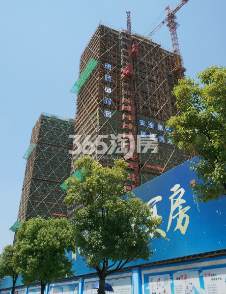 山水如画2018年6月实景图