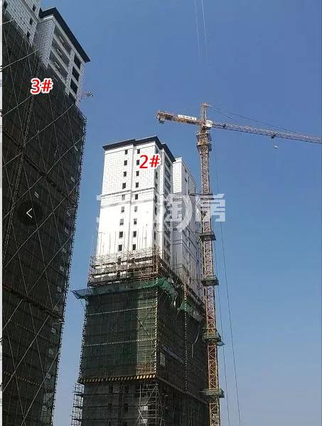 禹洲滨之江南区2、3号楼实景图（2018.6）