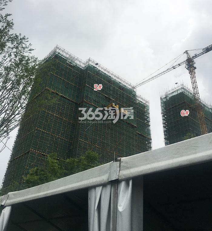 中南樾府5、6号楼施工进程（2018.5）