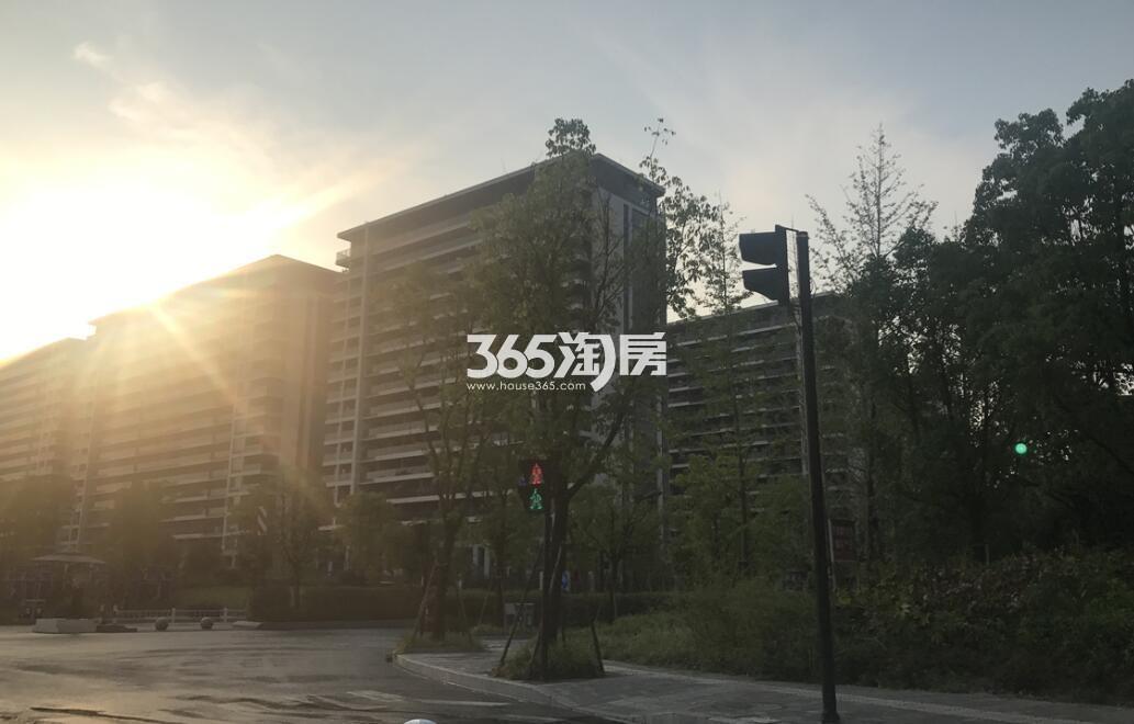 卓越蔚蓝领秀一期实景图 2017.7