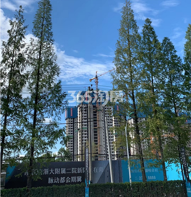 融信旭辉湘湖悦章南面实景图（2019年8月摄）