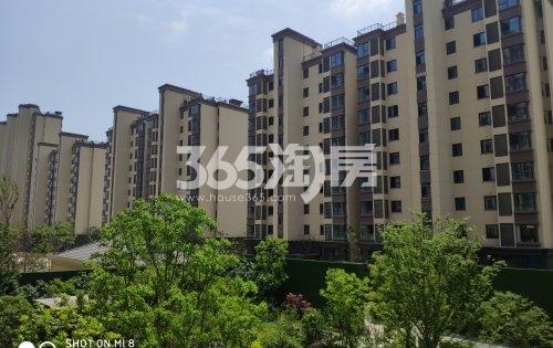 印江南花园高层在建实景（5.20）