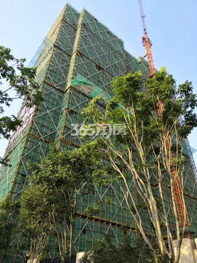 2018年8月西房拱宸外滩高层25号楼实景