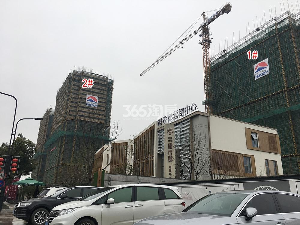 旭辉中粮朗香郡工程进展（2019.02）