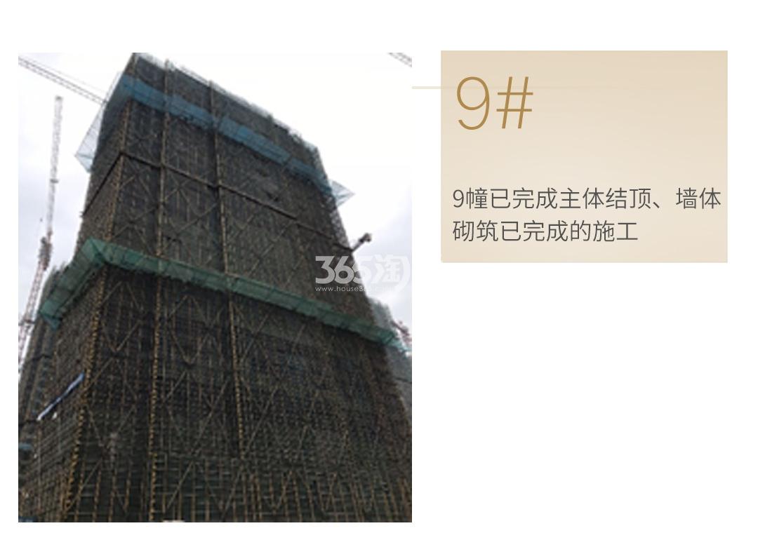 旭辉中粮朗香郡工程进度（2020.03）