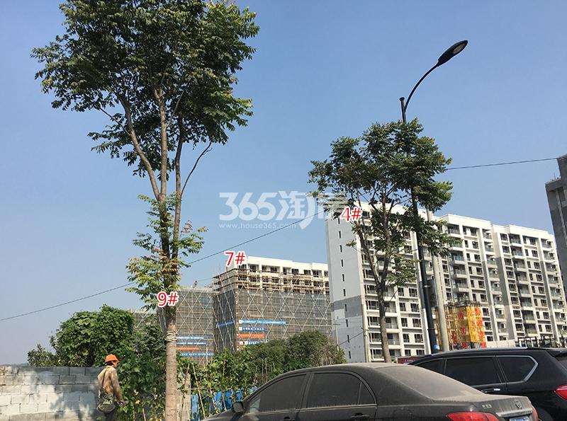祥生云浦新语实景图