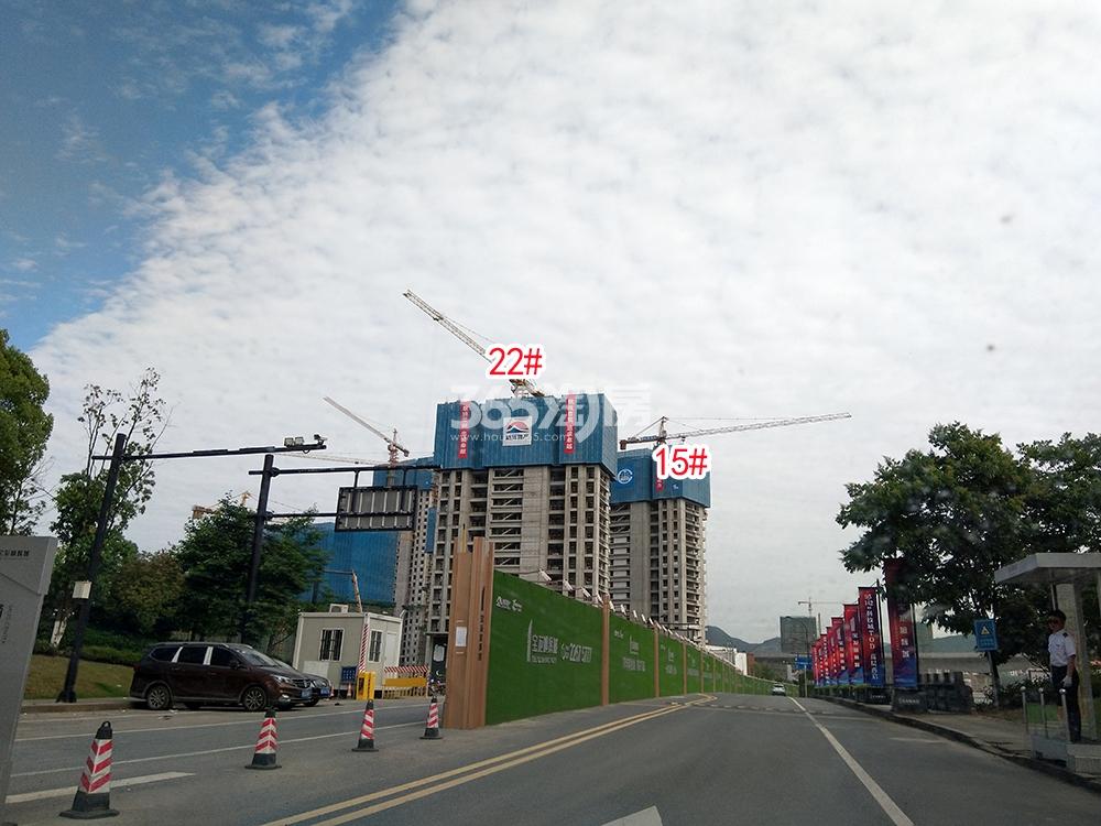 蔚宸悦城工程进展（2019.05）