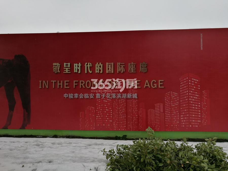 中骏临安滨湖新区地块现场雪景图 2018年1月摄