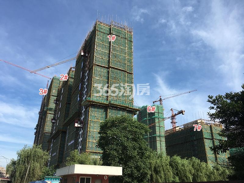 雅居乐国际花园1-3、6、7号楼实景图（2018.6）