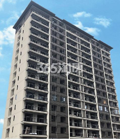 2020年4月湖风雅园1#外立面实景图