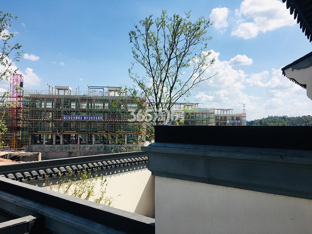 蓝城春风燕语实景（2019.08）