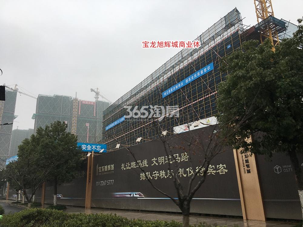 蔚宸悦城工程进展（2019.02）