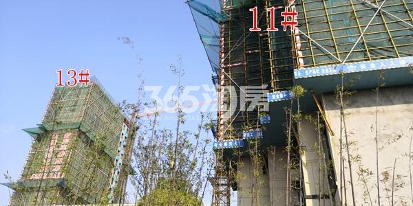 甪澄时光花园13、11#高层已封顶(10.8)
