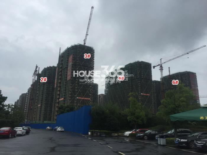 西溪海D组团2—4、6号楼施工进程图（2015.7）