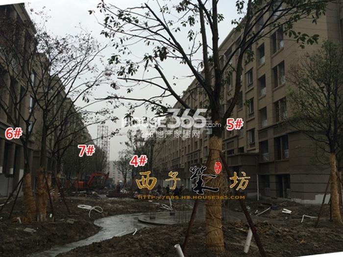 朗诗花漫里项目4—7号楼实景图（2015.11）