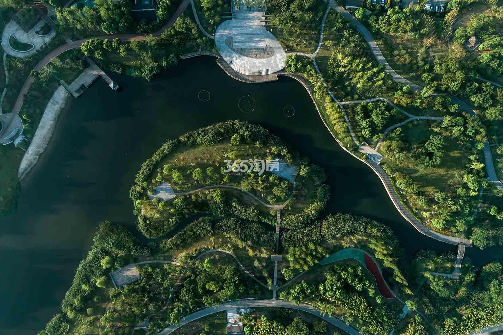 大象山舍鸟瞰图