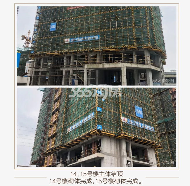中天卓越风荷锦庭14、15#施工实景图（2019.8摄）