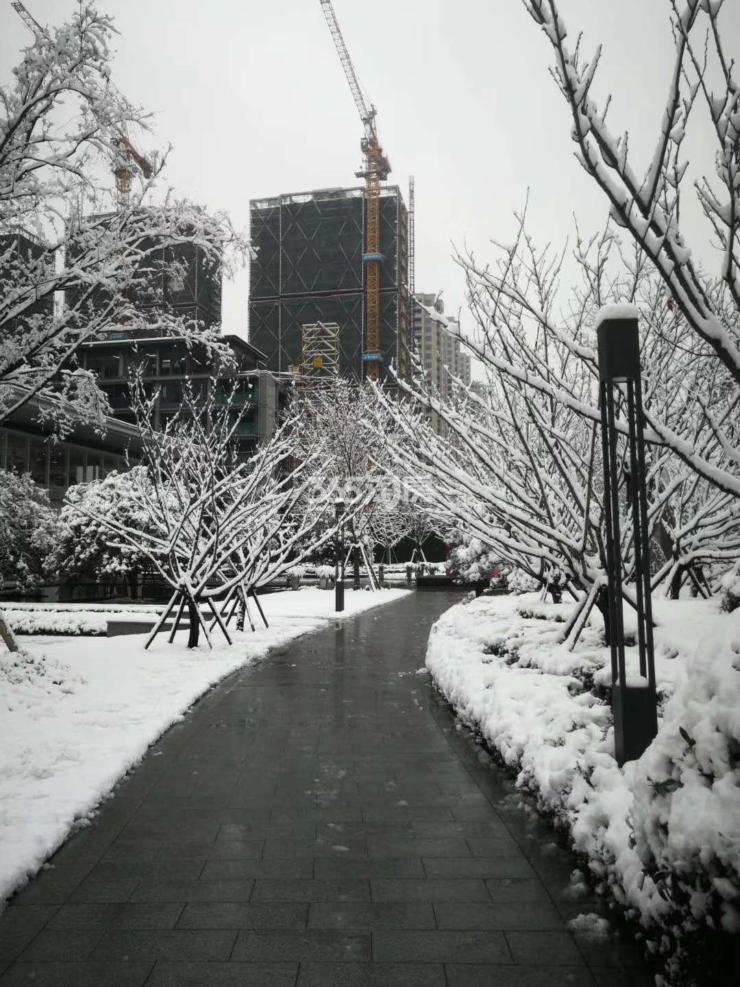 绿城九龙仓桂语江南雪景图 2018.12摄