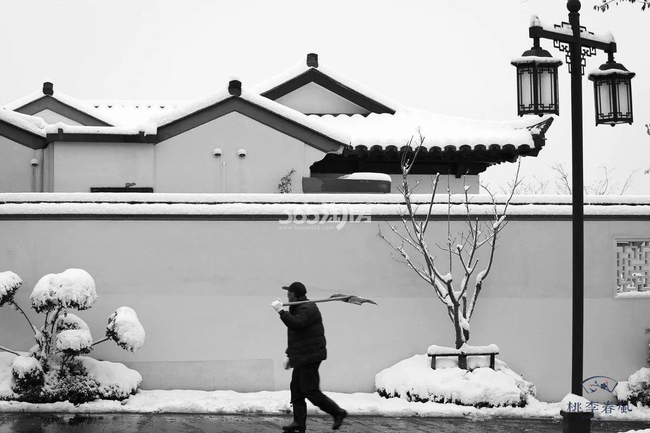 青云山居青云山居桃李春风雪景（2018.12）