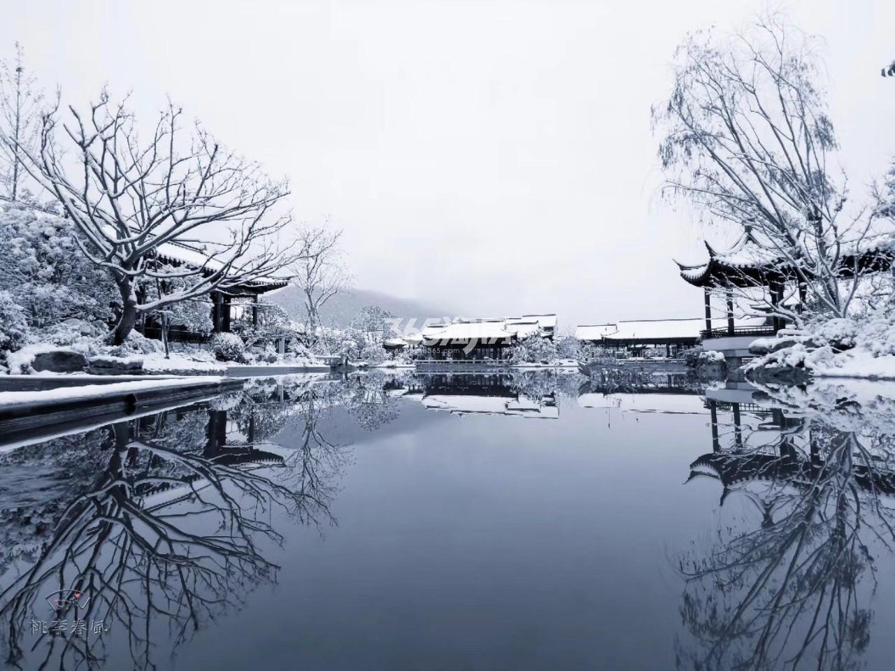 青云山居青云山居桃李春风雪景（2018.12）