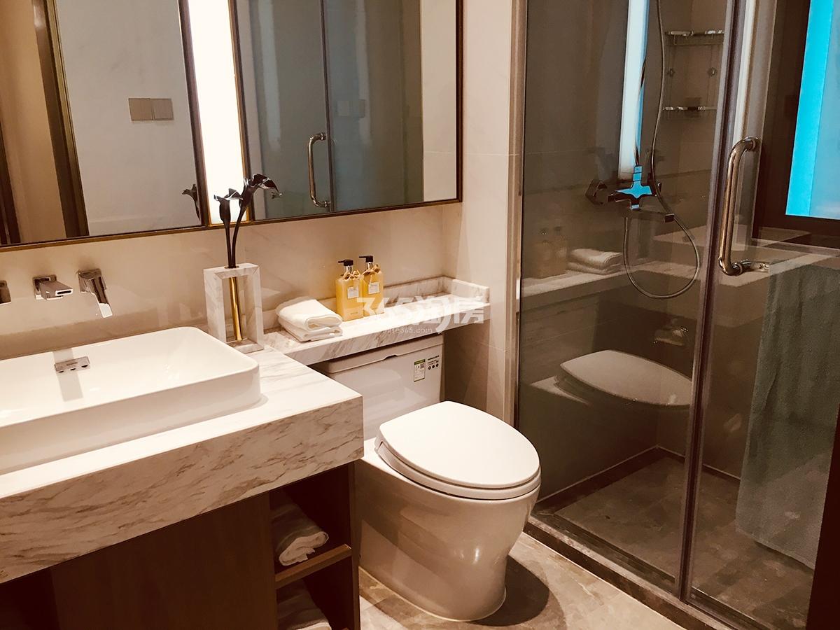 蔚宸悦城A1户型约95㎡样板房—主卫