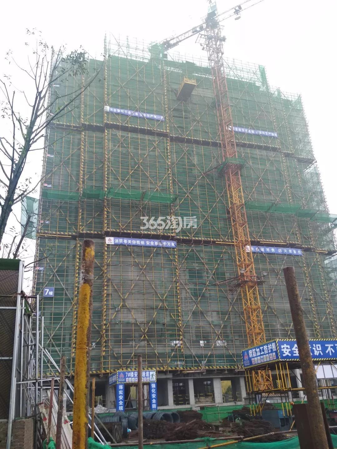 2019年2月碧桂园金科尚合府7号楼实景