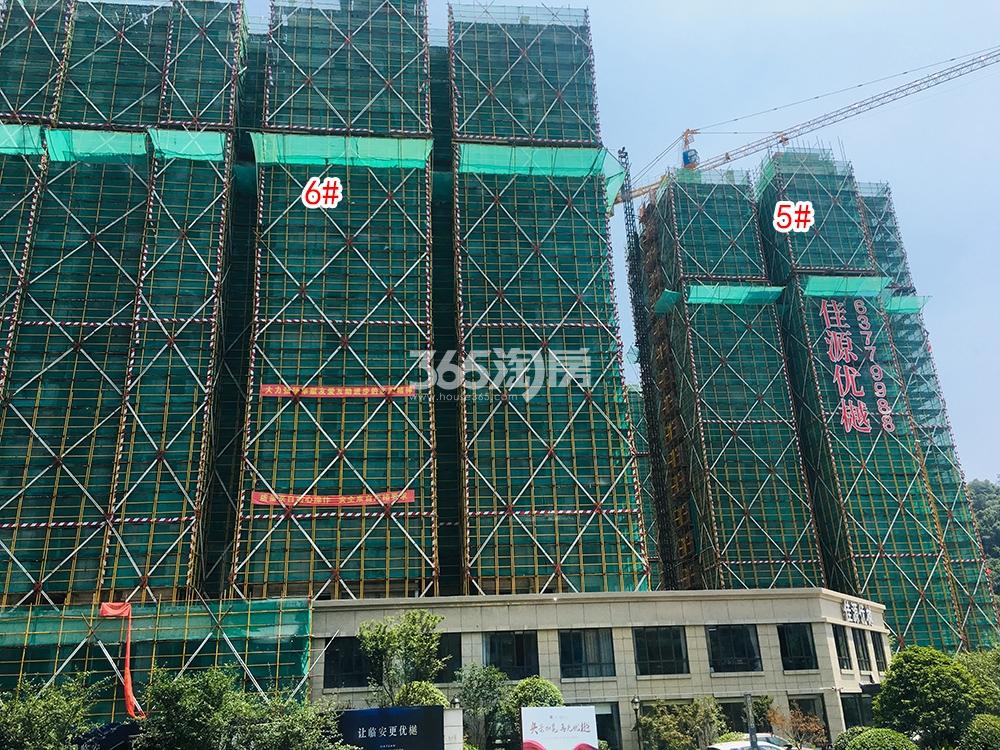 锦溪优樾府实景图（2019.06）