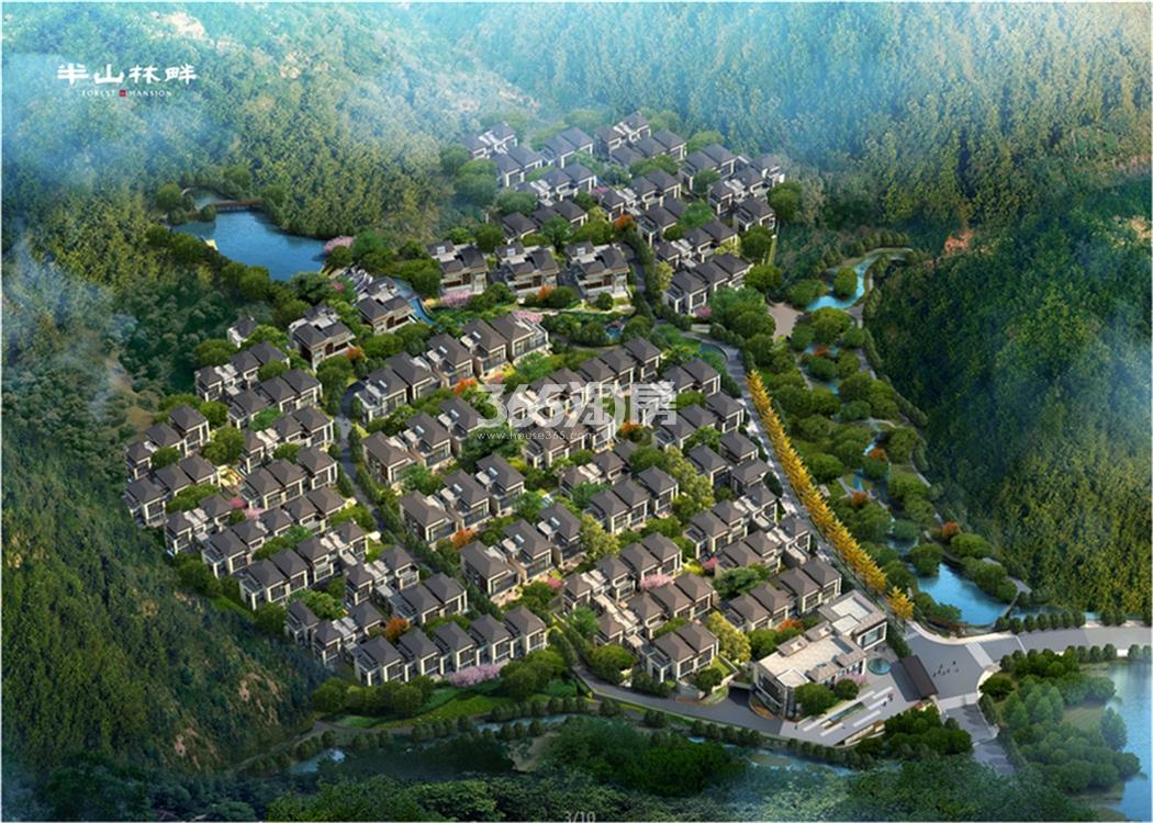 半山林畔鸟瞰图