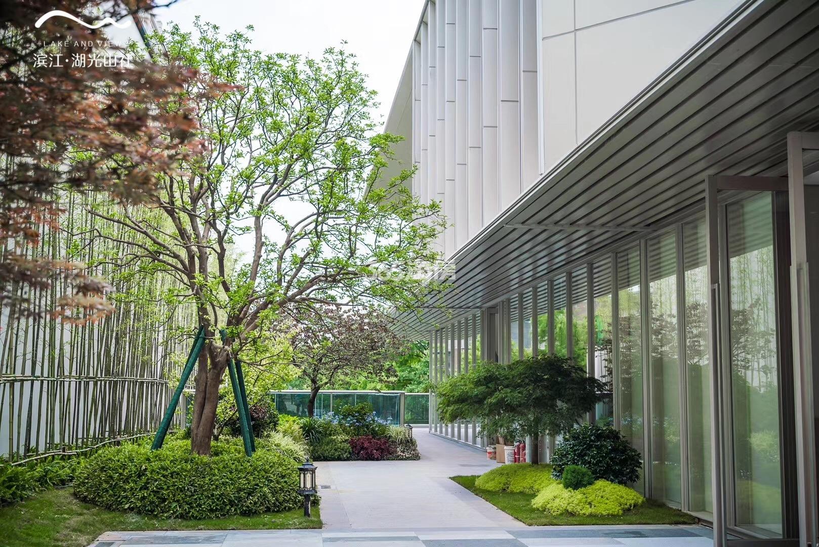 湖光山社示范区实景