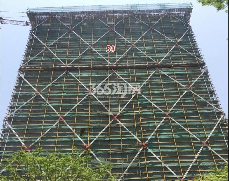 山语凤鸣府5号楼施工进程（2019.6）