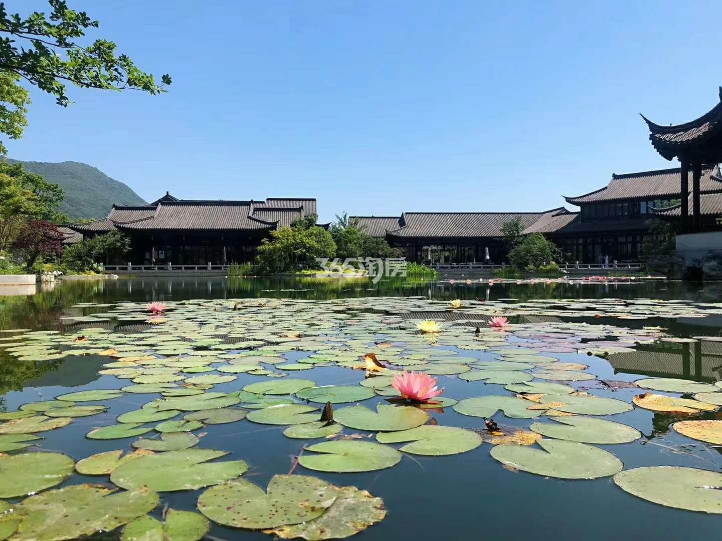青云山居青云山居桃李春风实景（2019.05）