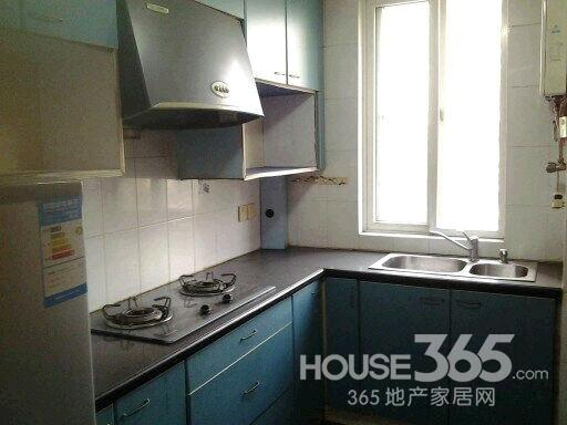 【黄金楼层 前面有棵树 夏天遮阳 冬天吸光 超好