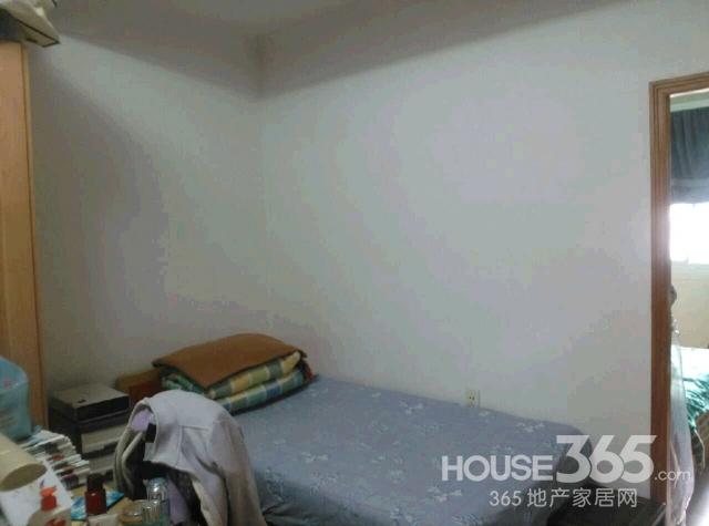 【黄金楼层 前面有棵树 夏天遮阳 冬天吸光 超好