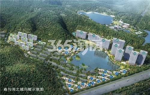 森与海之城楼栋鸟瞰图