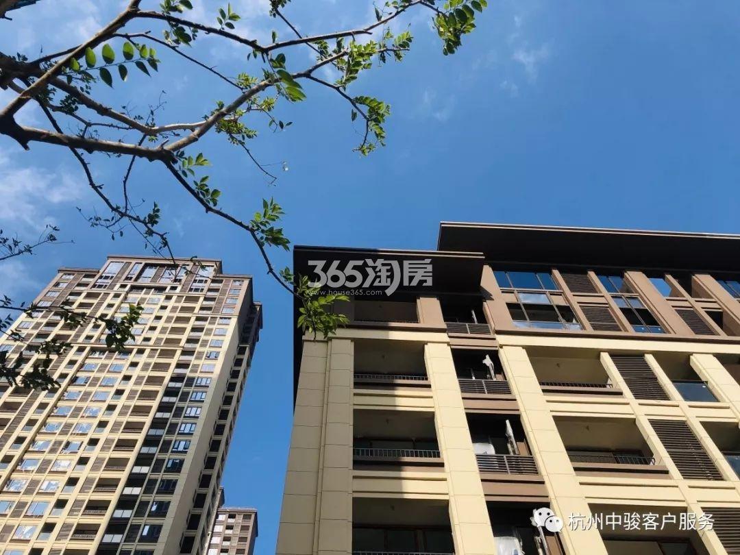 中骏柏景湾实景图（2019.11）