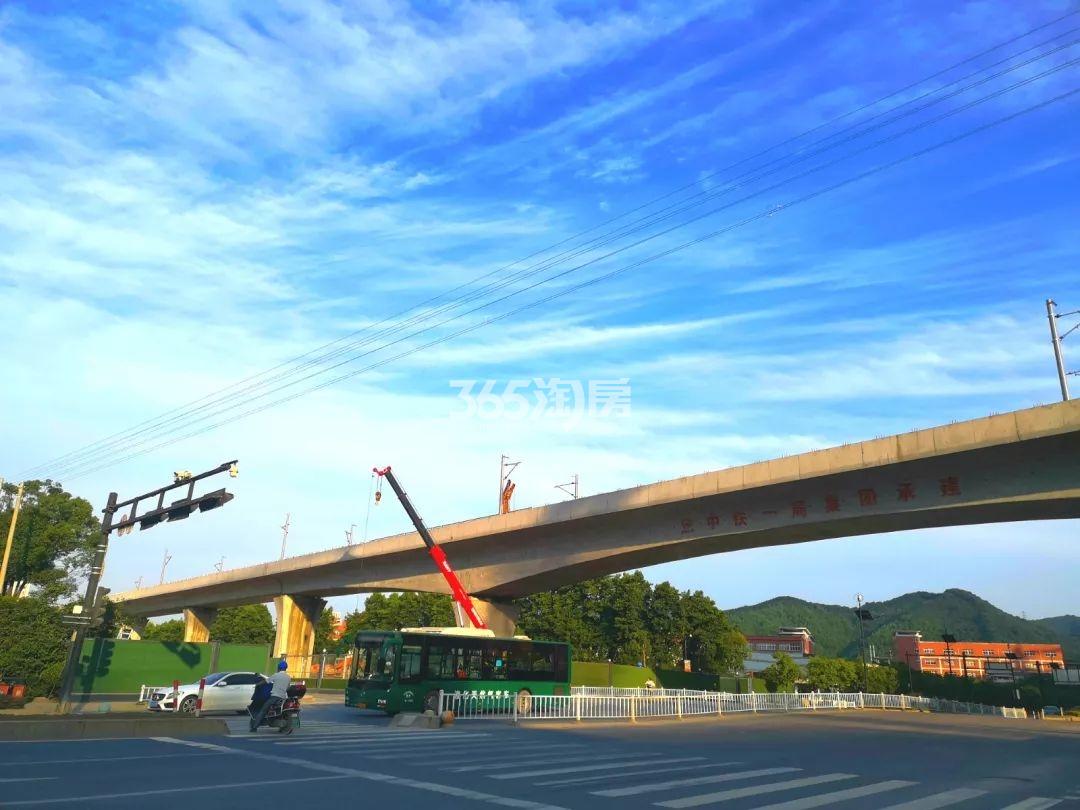 杭临轻轨实景（2019.7）