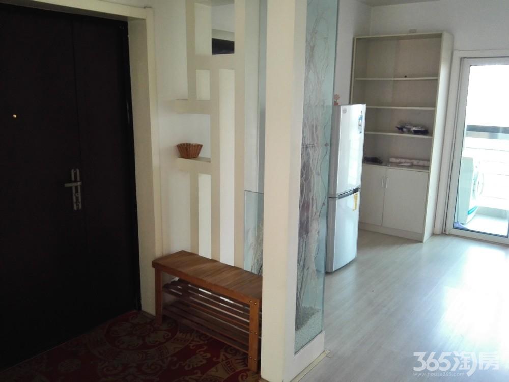 【河西奥体 万科物业 嘉业阳光城 住家装修设施