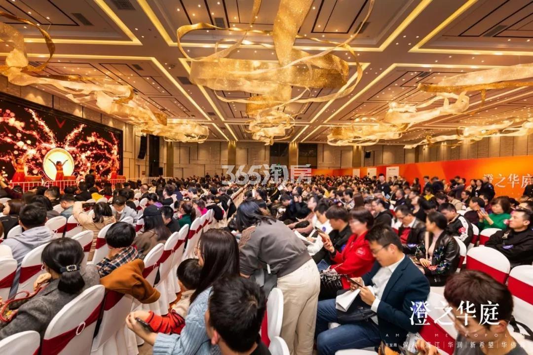 保利澄品11月26日开盘现场
