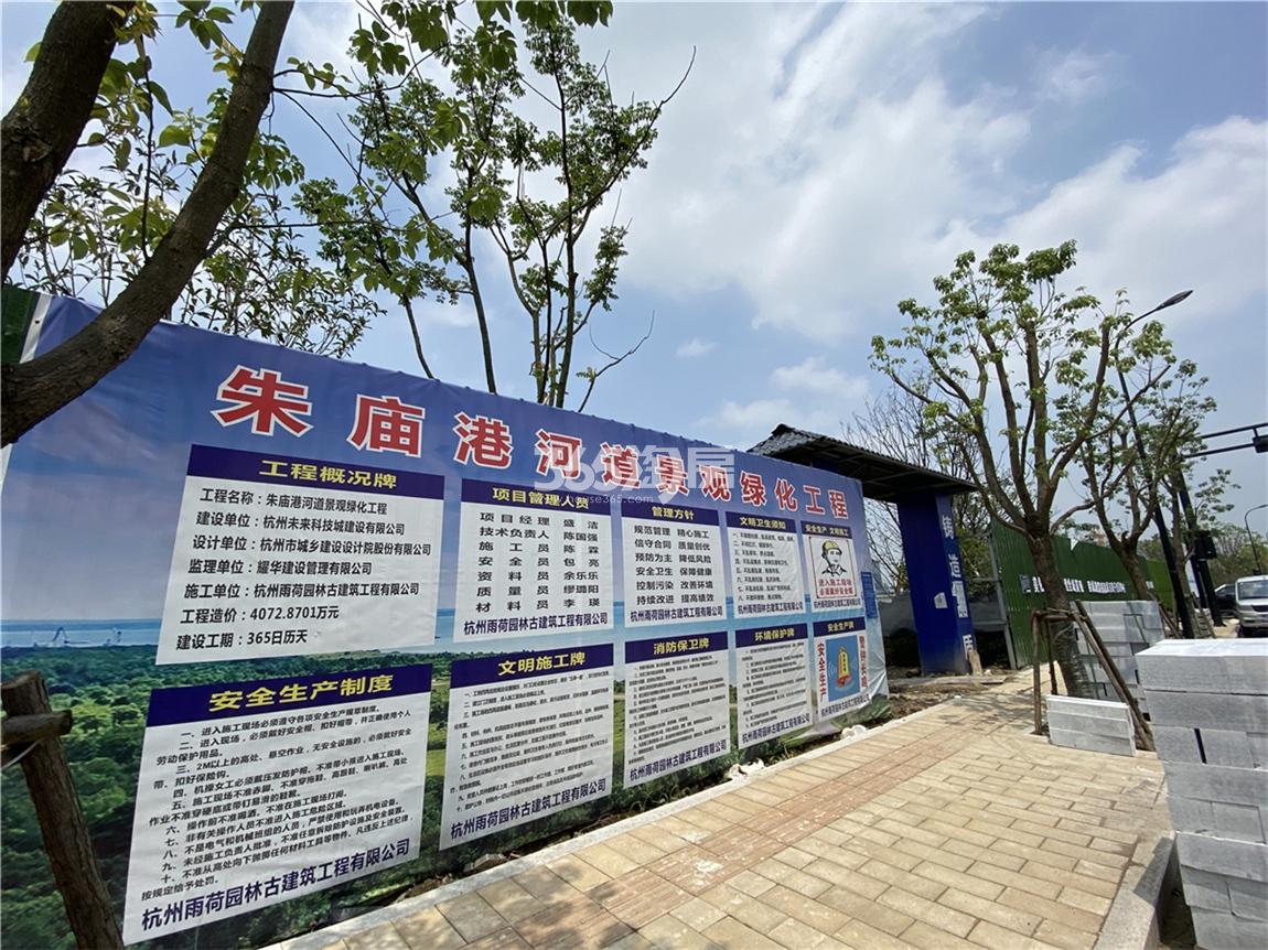 2020年6月富力中心周边河道景观绿化工程