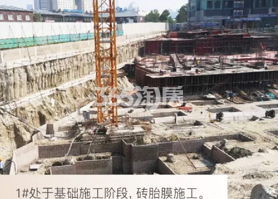 2019年7月滨江金地御品1号楼实景