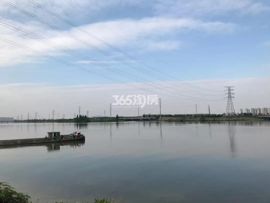 2019年5月金昌白鹭凤林附近的大树山景观河