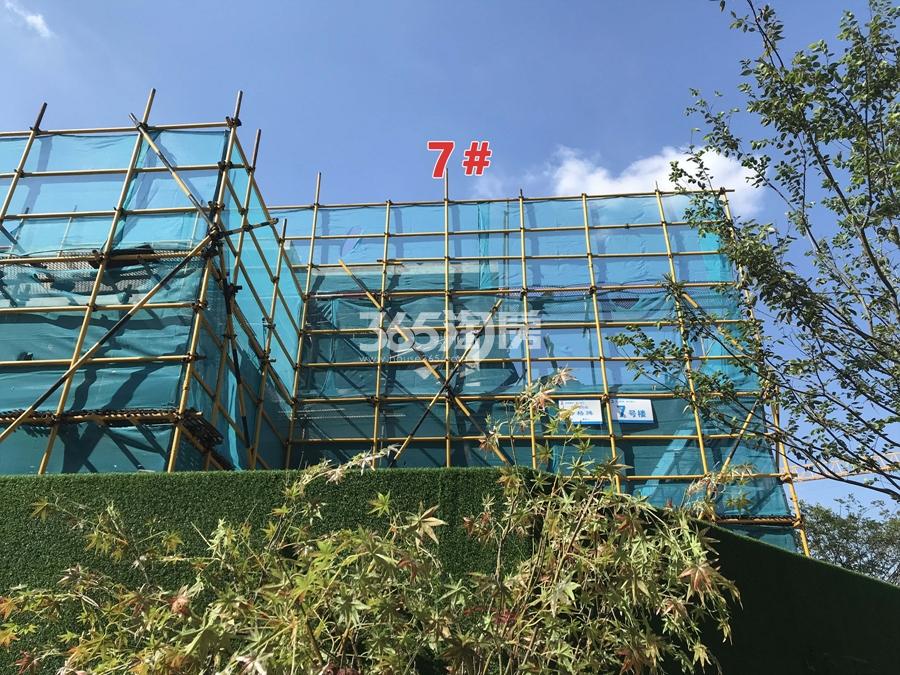 宋都相贤府7#施工实景图 2018年9月摄