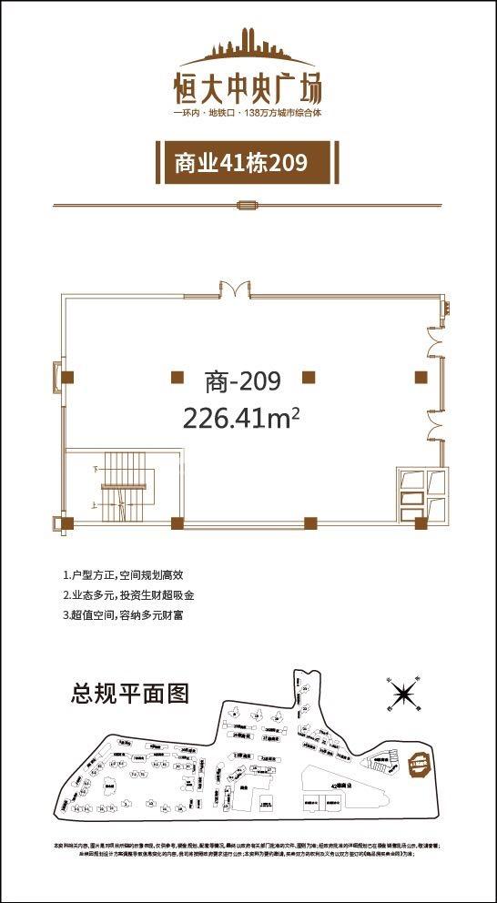 恒大中央广场商业41栋209室226.41㎡户型图