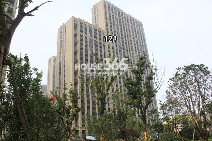 宋都东郡国际二期12号楼实景图 2015.6摄