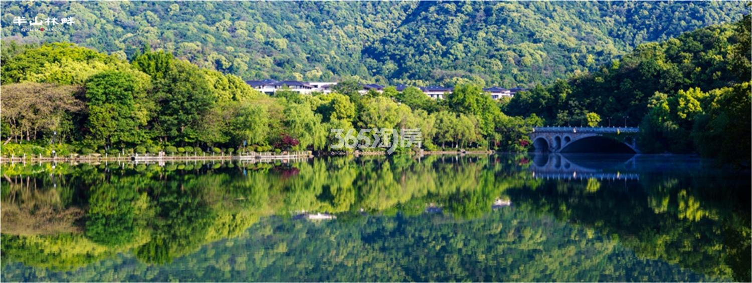 半山林畔商务中心商务中心商务中心周边风景