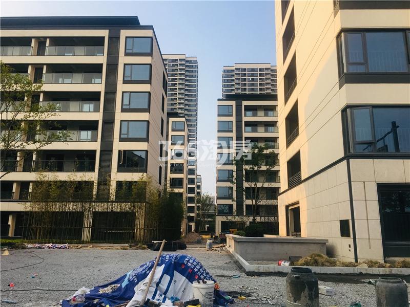 都会钱塘东区项目实景（2019.08）