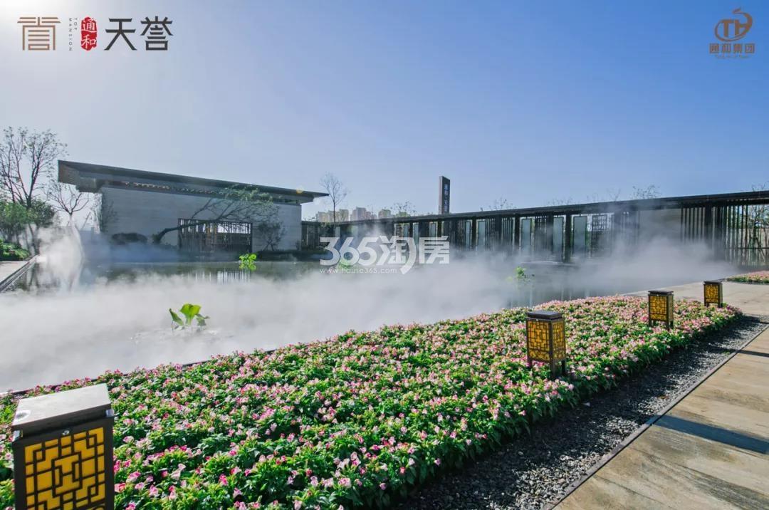 通和天誉示范区景观实景图（2020.5.16）