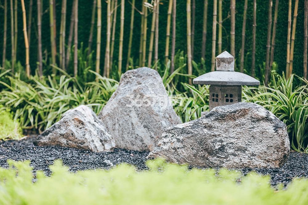 缦云府示范区开放