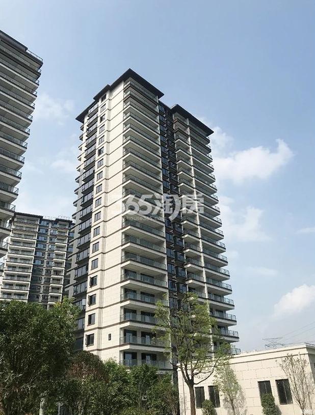 2020年5月佳源湘湖印象高层22号楼实景图